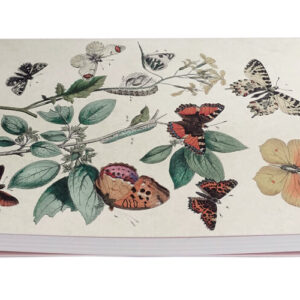 Notitieboek A5 Vlinders