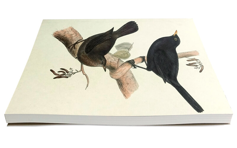 Notitieboek A5 Birds