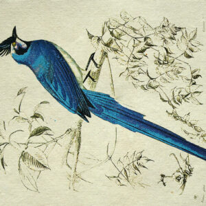Notitieboek Blauwe vogel A5