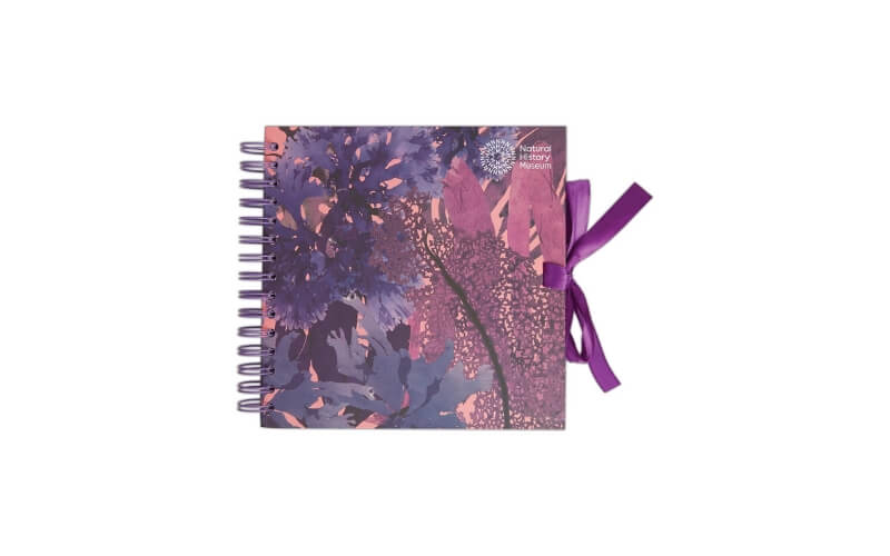 Plakboek-Scrapboek 20x20 Zeewier Natural History Museum