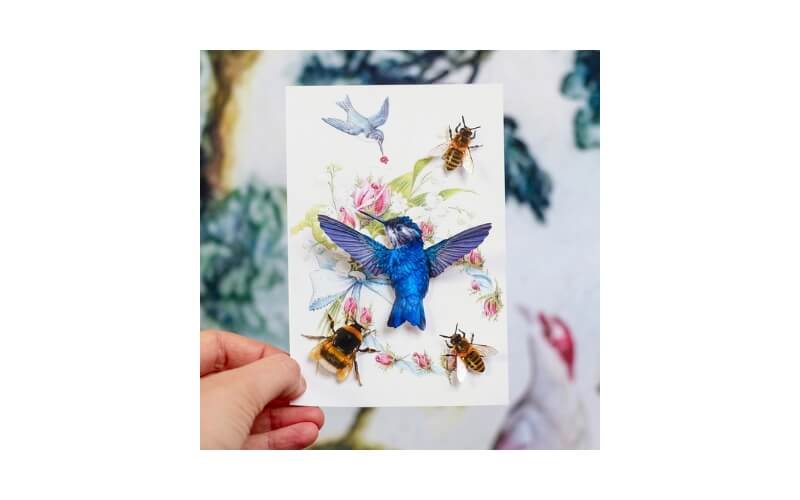 Kolibri en Bijen Moth and Myth