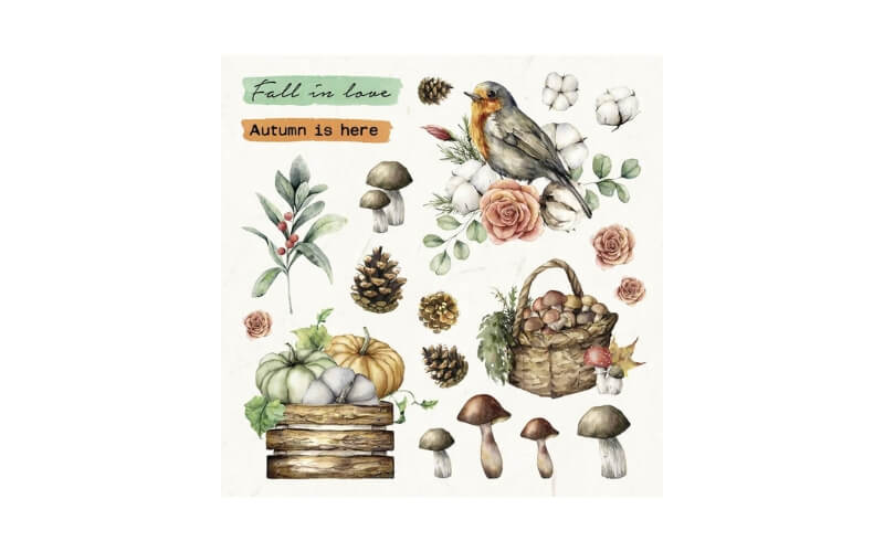 Beauty van de Herfst Studio Light