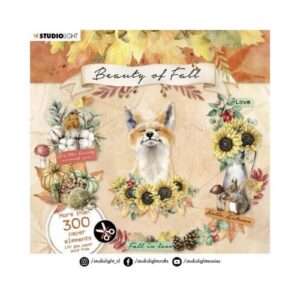 Beauty van de Herfst Studio Light