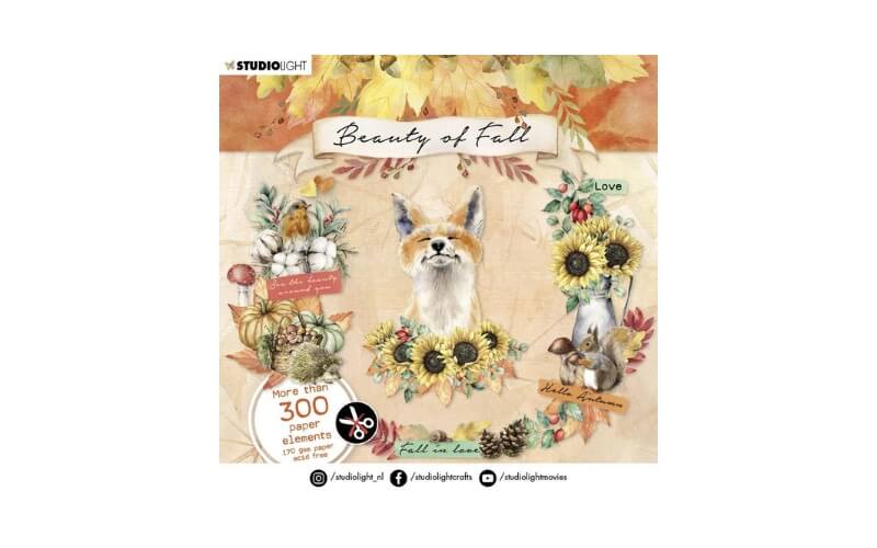 Beauty van de Herfst Studio Light