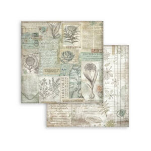 Plakboekpapier 30x30 Herbarium Silvae Achtergrond Stamperia