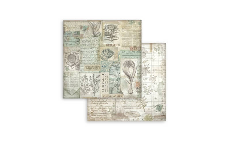 Plakboekpapier 30x30 Herbarium Silvae Achtergrond Stamperia