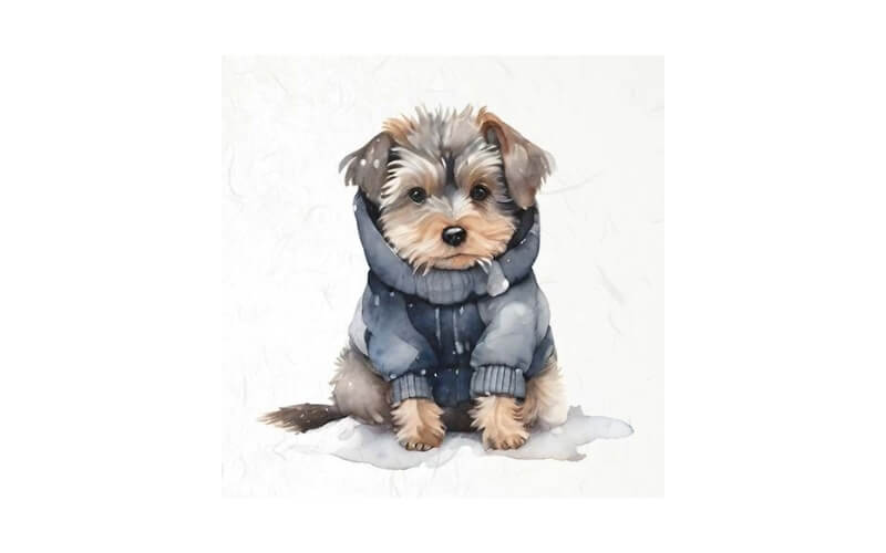 Mini Rijstpapier Set Dieren in Winter 6 Vellen Itd Collection