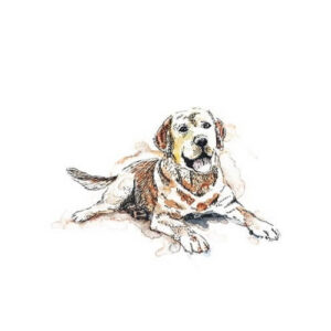 Mini Rijstpapier Set Honden & Katten 6 Vellen Itd Collection