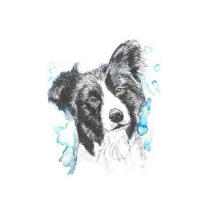Mini Rijstpapier Set Honden & Katten 6 Vellen Itd Collection