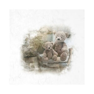 Mini Rijstpapier Set Teddyberen 6 Vellen ITD Collection