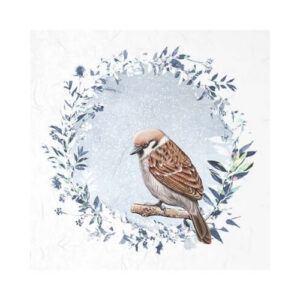 Mini Rijstpapier Set Winter Vogels 6 Vellen Itd Collection